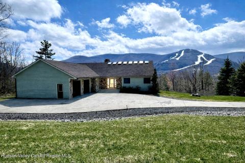 Photo of 234 Botti Drive, Hunter, NY 12442 (MLS # 20260842)
