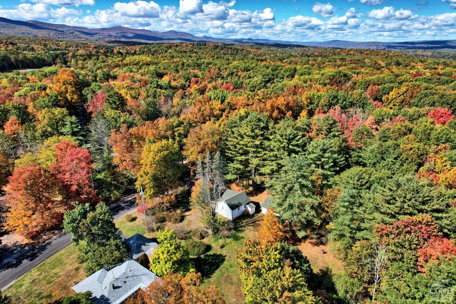 172 Woodard Road, Durham, New York image 15
