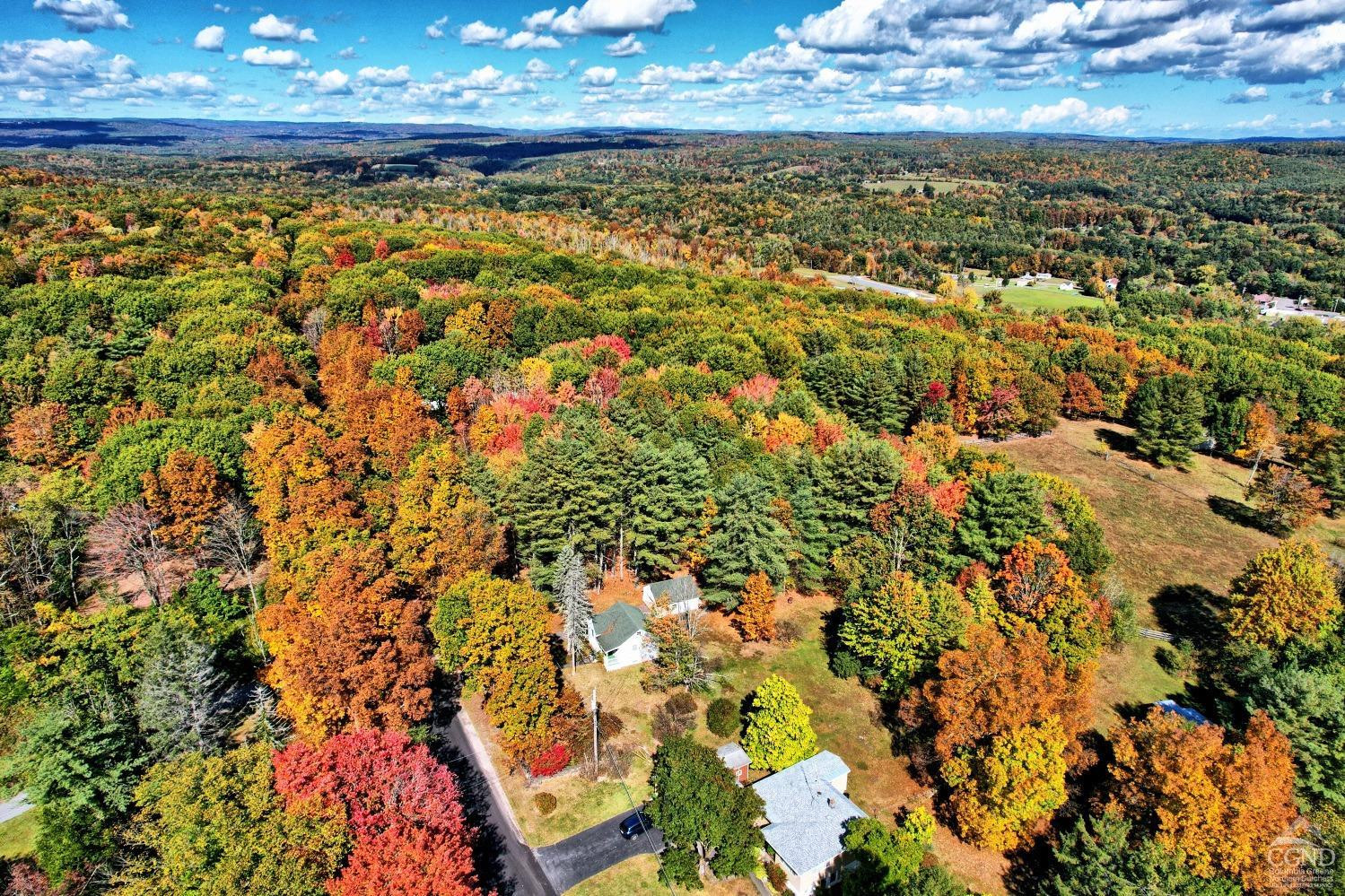 172 Woodard Road, Durham, New York image 14