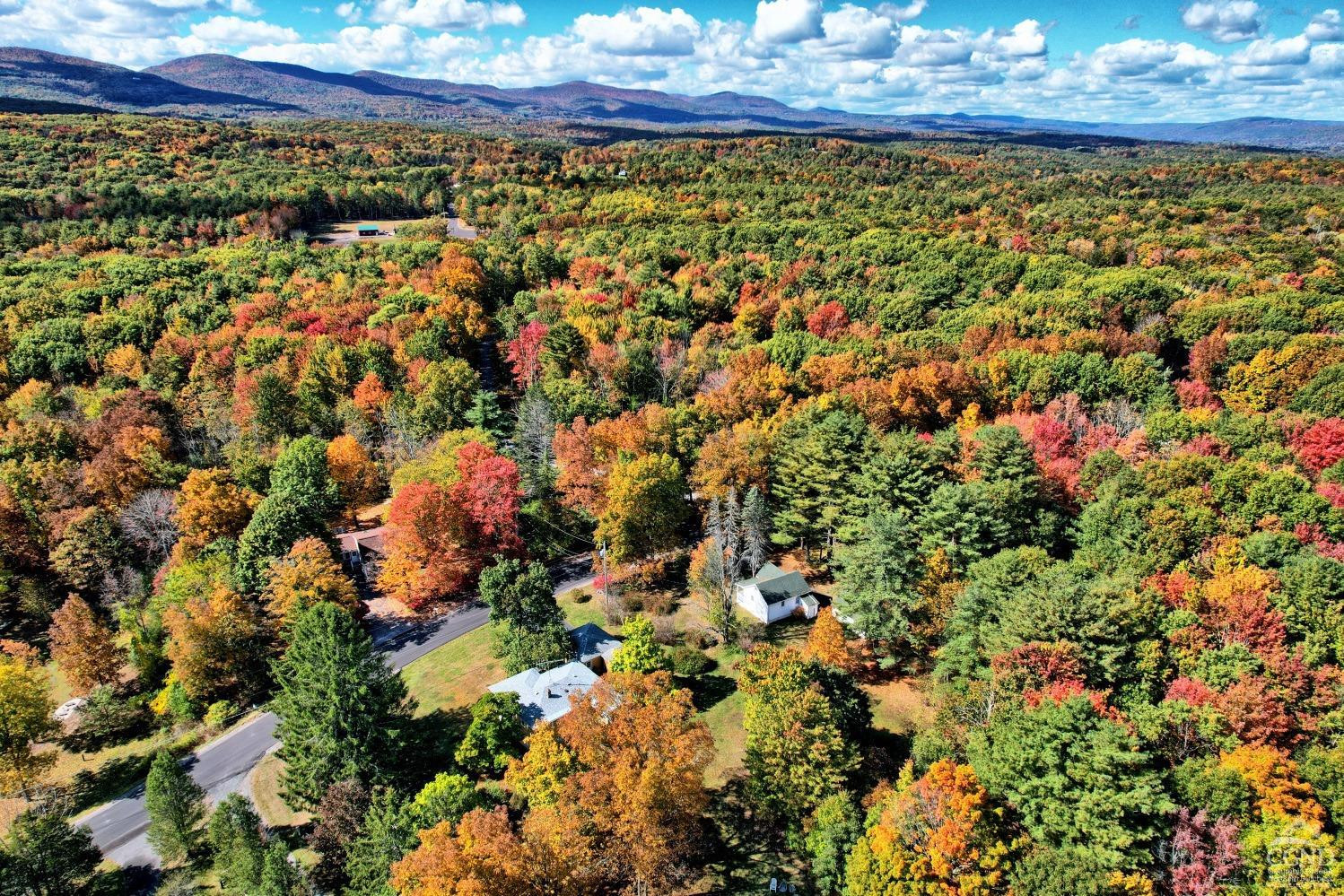 172 Woodard Road, Durham, New York image 16
