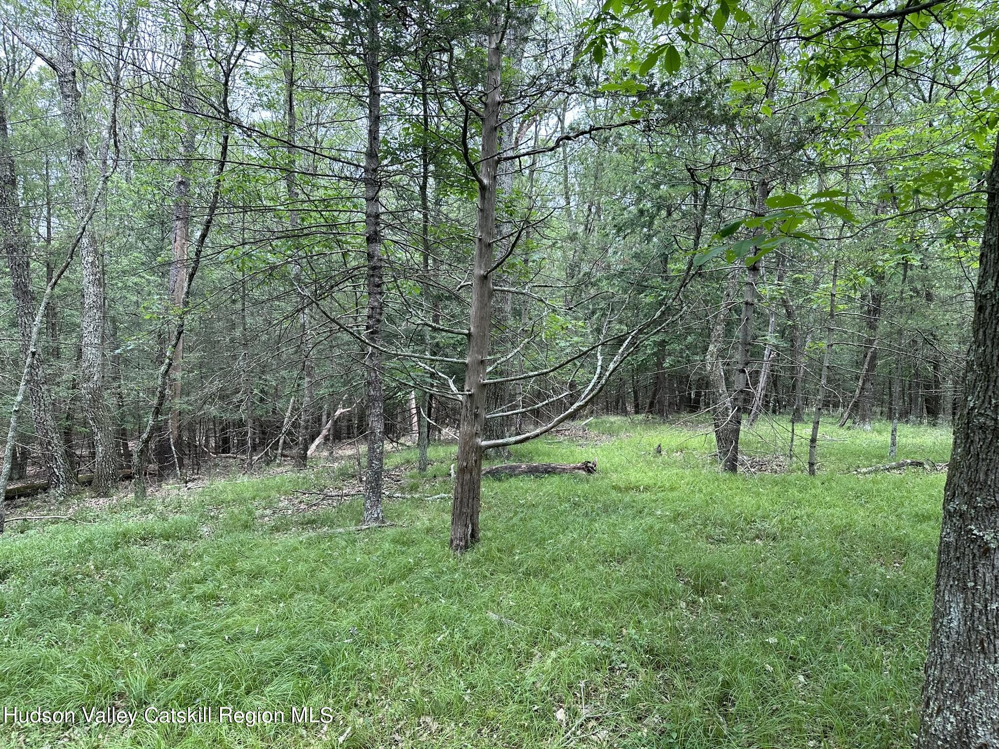 506 Rivka Road, Saugerties, New York image 6
