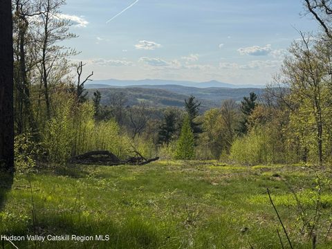 Vacant Land For Sale - Route 82<br/> Ancramdale, NY 12503
