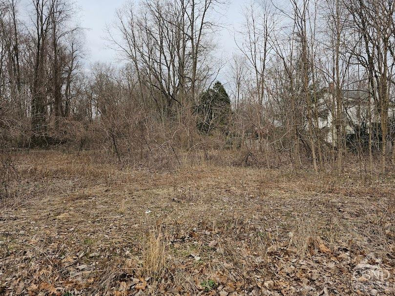 25 Chatham Street, Kinderhook, New York image 2