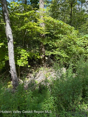 TBD OAK RIDGE ROAD, ELLENVILLE, NY 12428 - Image dcfd6bfc27f6d6a37a466f310683cb1a/498264247