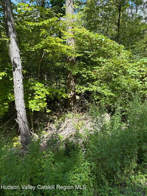 Homes For Sale - TBD Oak Ridge Road<br/> Ellenville, NY 12428
