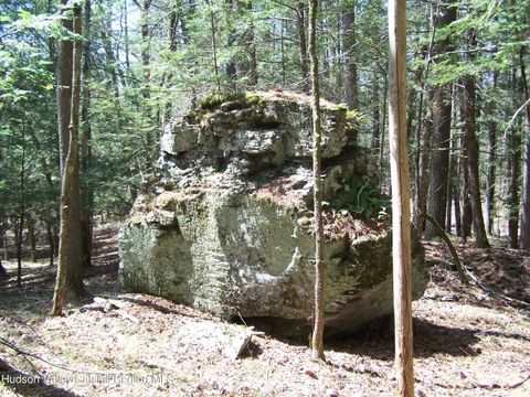 Homes For Sale - TBD Buck Road<br/> Stone Ridge, NY 12484