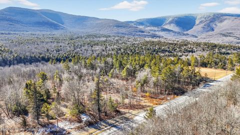 Vacant Land For Sale - 6769 Ny-23a<br/> Tannersville, NY 12485