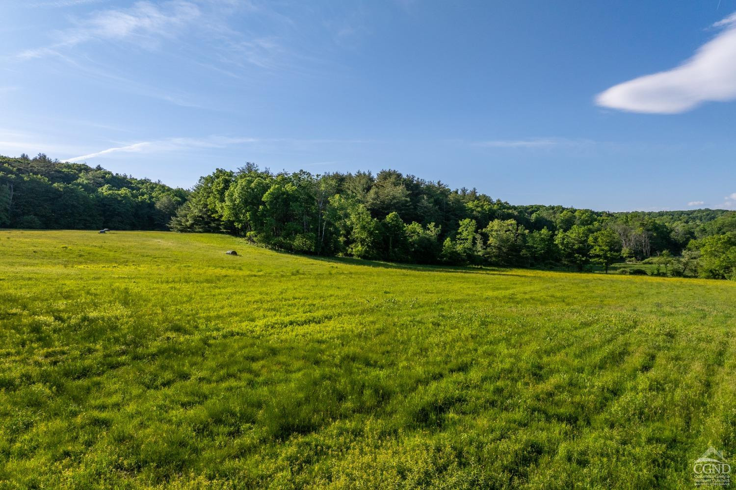 Cotter Road, Chatham, New York image 18