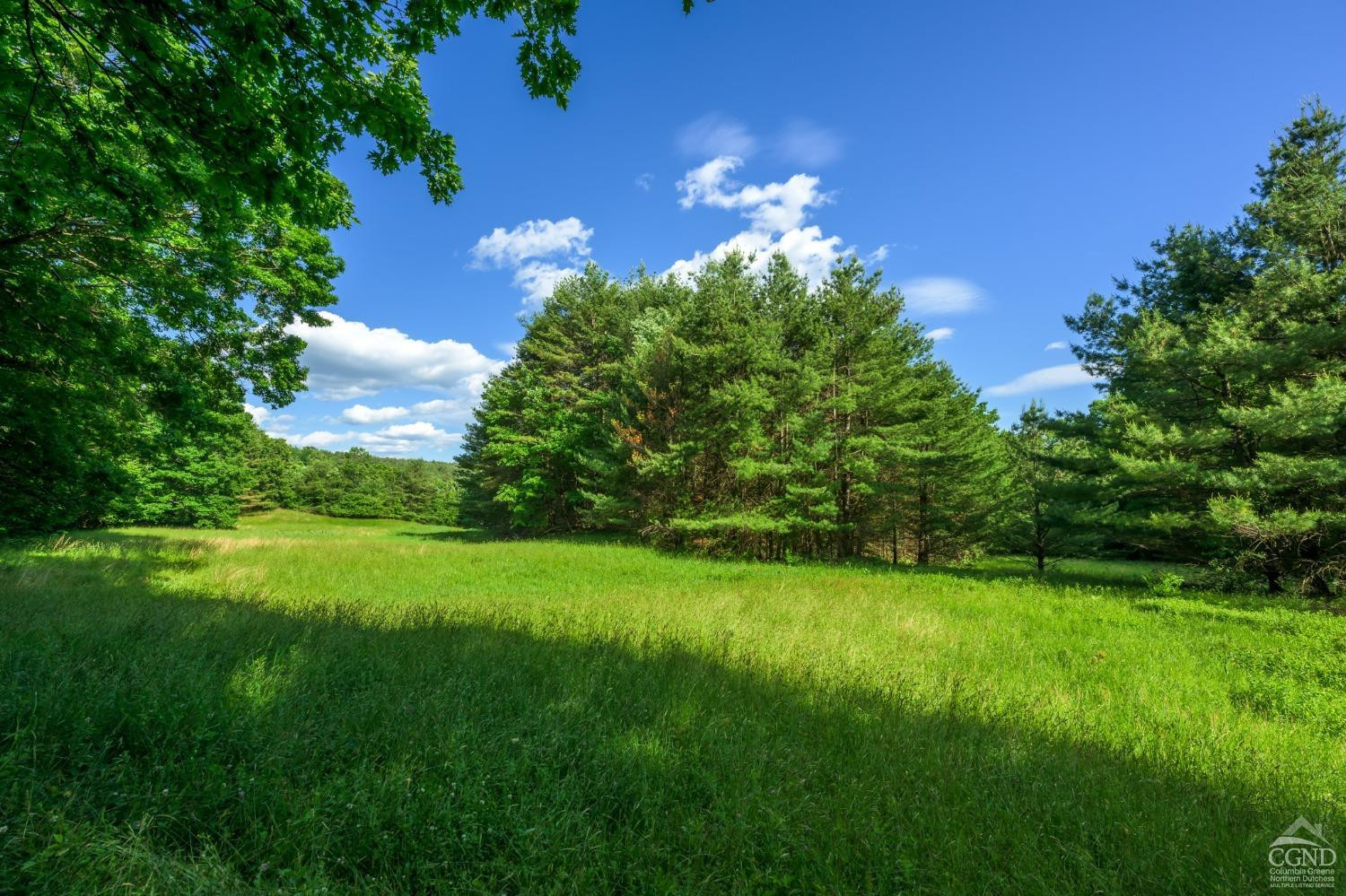Cotter Road, Chatham, New York image 11