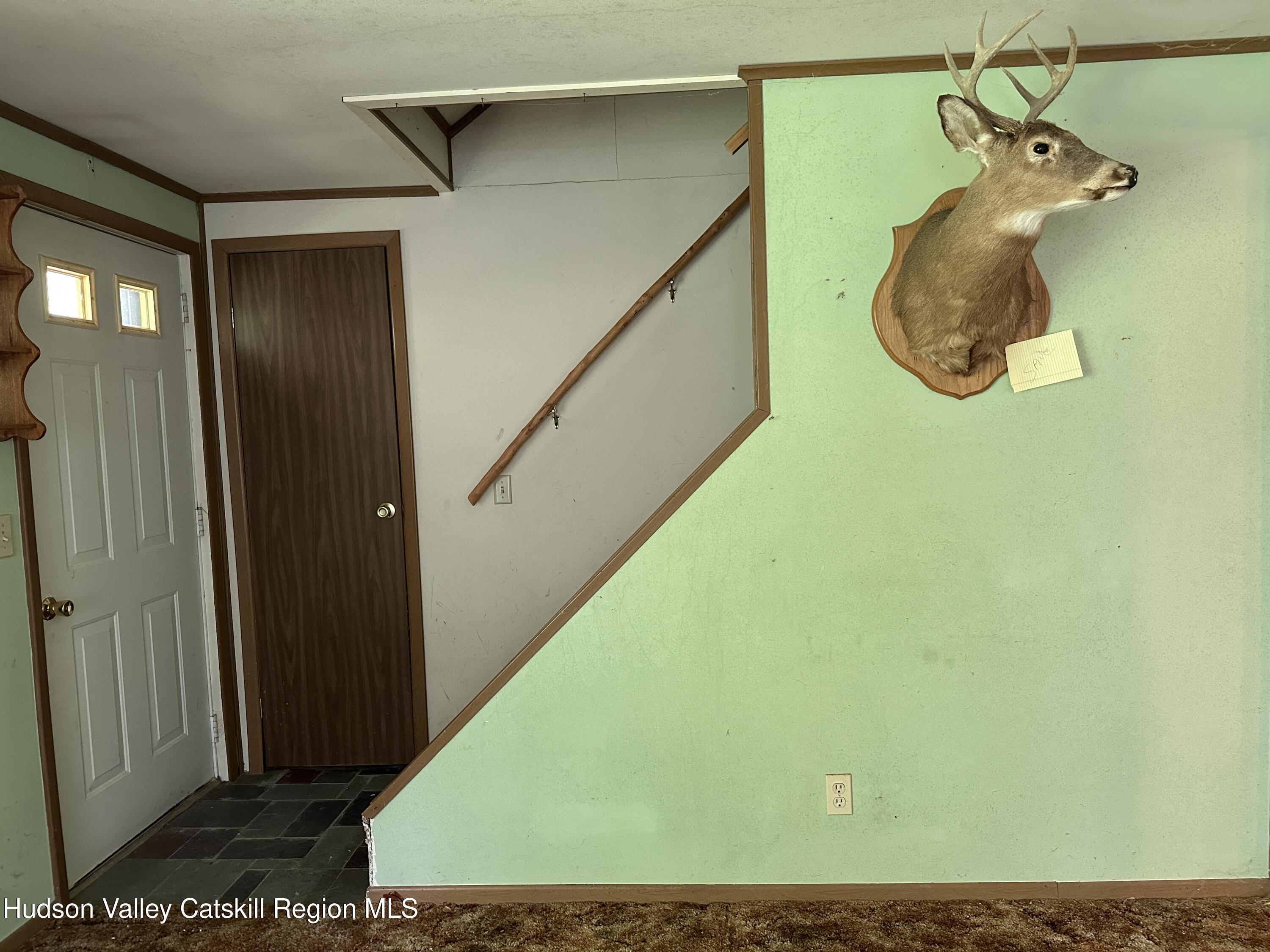 515 Delaware Avenue, Andes, Texas image 14