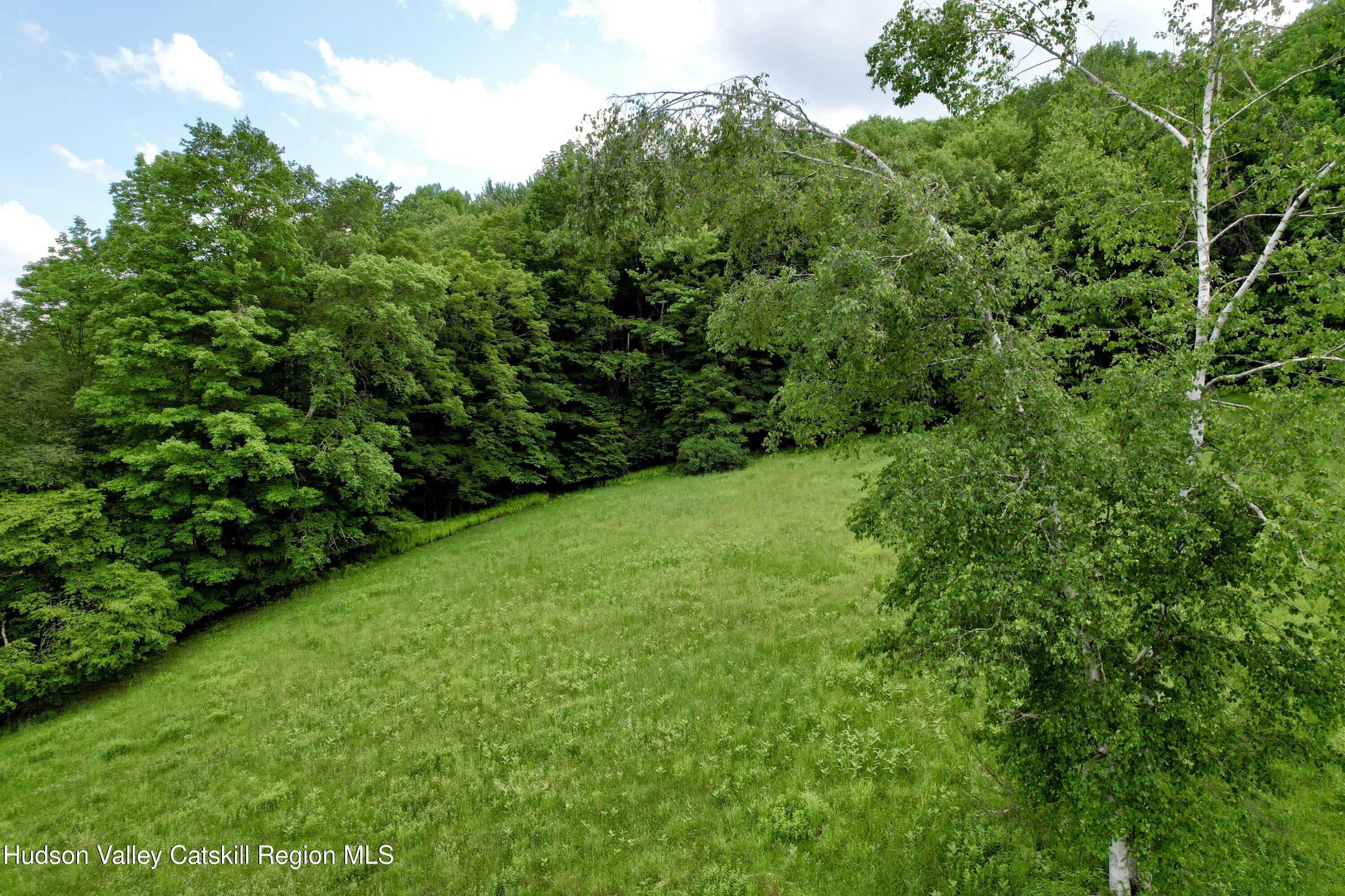 515 Delaware Avenue, Andes, Texas image 26
