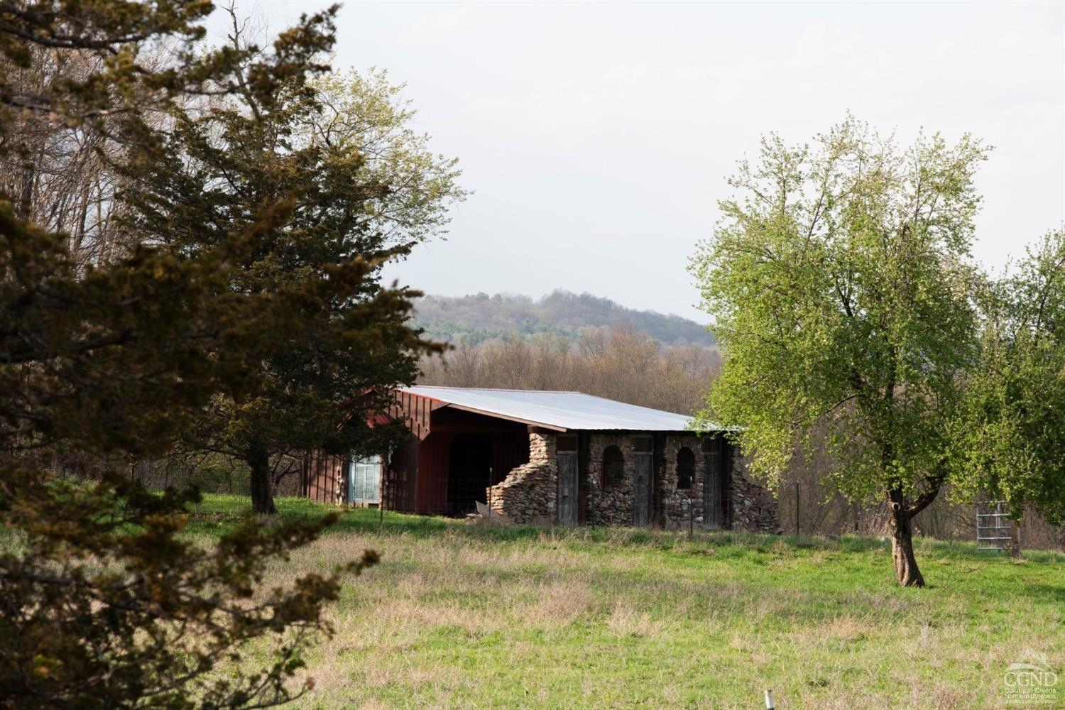 165 Drake Road, Pleasant Valley, Texas image 5