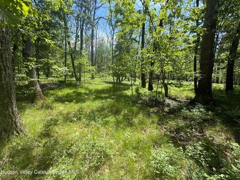 Vacant Land For Sale - 338 Mossy Hill Road<br/> Catskill, NY 12414