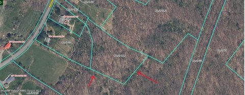 Vacant Land For Sale - TBD Mountain Road<br/> Bloomingburg, NY 12721