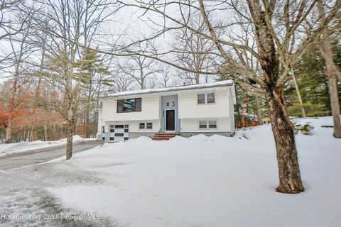 Photo of 3 Martha'S Court, Saugerties, NY 12477 (MLS # 20260666)