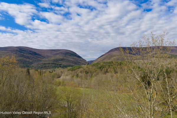 2726 STATE RTE 42, WEST KILL, NY 12492 - Image e2ee8b8474e11e98679a8f2f739b1cef/650603048