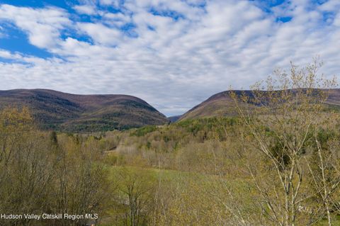 Vacant Land For Sale - 2726 New York 42<br/> Lexington, NY 12452