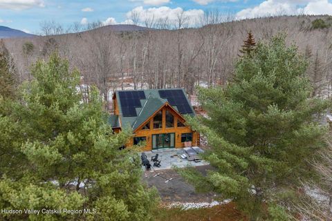 Photo of 78 Mitchell Hollow Road, Windham, NY 12496 (MLS # 20256152)