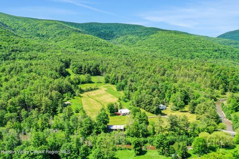 Photo of 21 Long Road, West Kill, NY 12492 (MLS # 20261798)