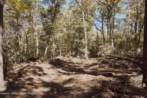 Vacant Land For Sale - LOT 5 Flatbush Avenue<br/> Kingston, NY 12401