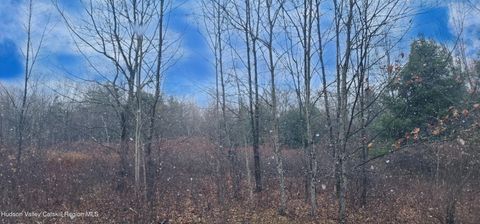 Vacant Land For Sale - 40 Bailey Road<br/> Jewett, NY 12444