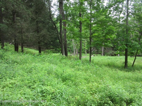 Vacant Land For Sale - Airport Rd, Lot #4<br/> Lexington, NY 12452
