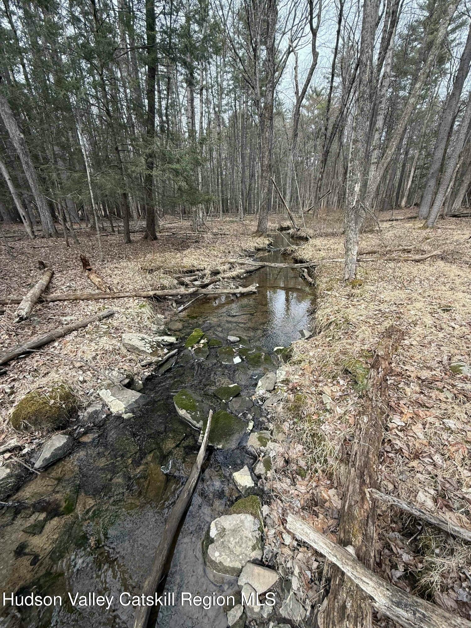 Woodstock, New York 12498, United States, 2 Bedrooms Bedrooms, ,2 BathroomsBathrooms,Residential,Active,77006
