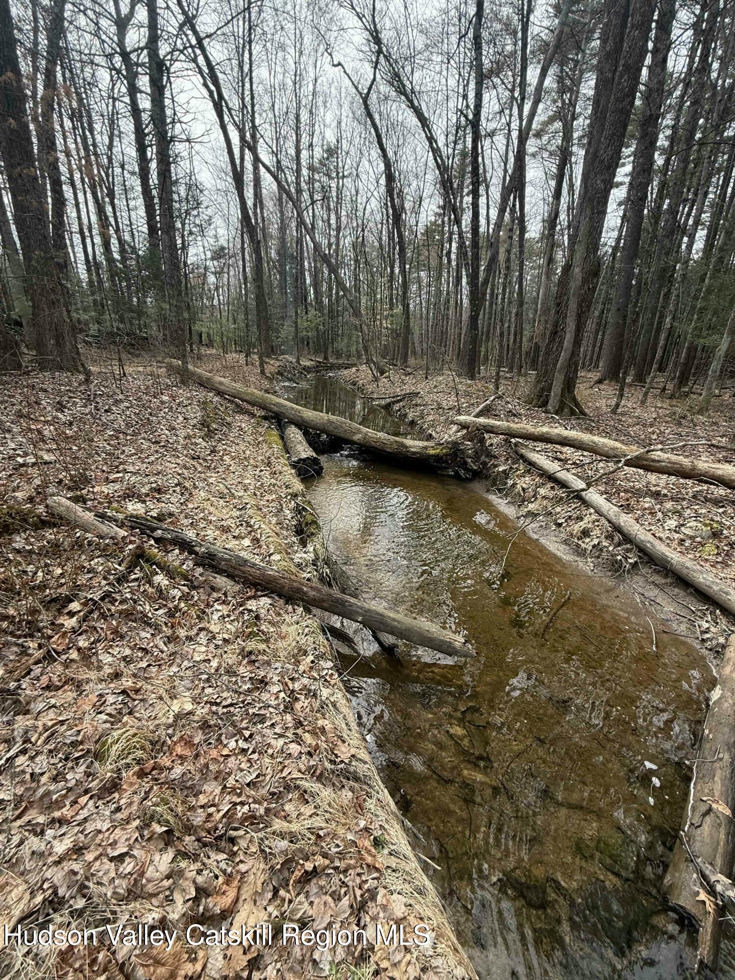 Woodstock, New York 12498, United States, 2 Bedrooms Bedrooms, ,2 BathroomsBathrooms,Residential,Active,77006