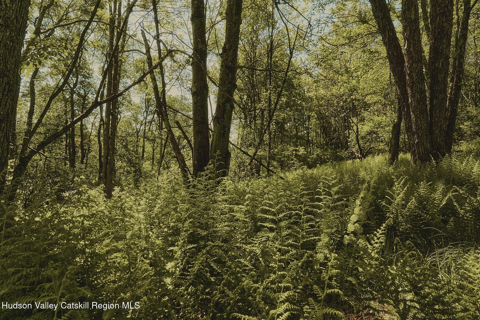 Benton Hollow Road, Liberty, Texas image 7