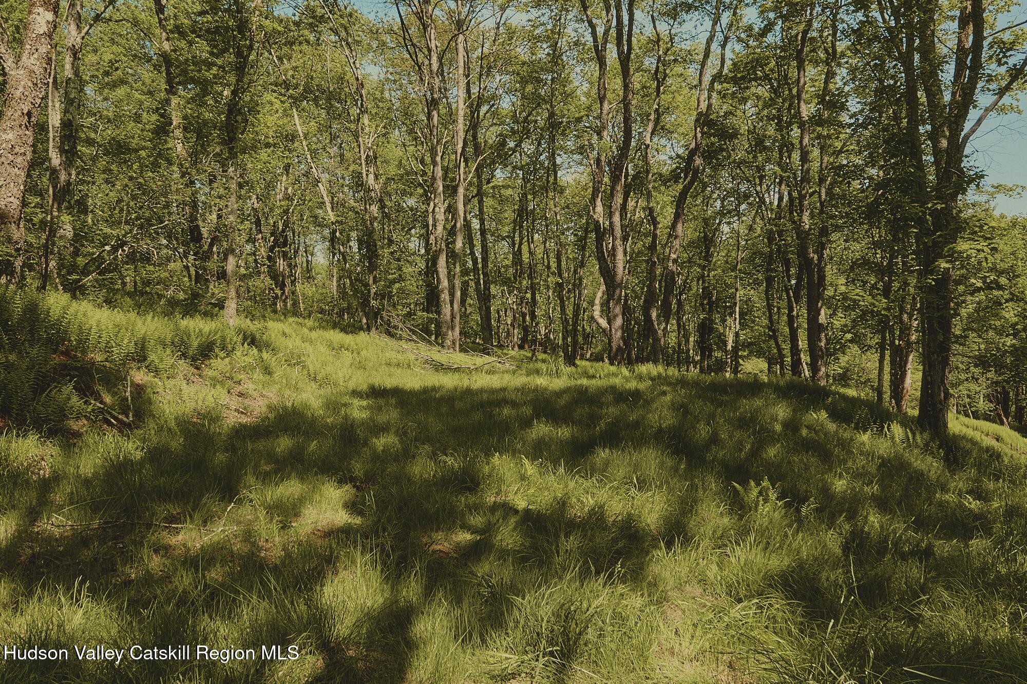 Benton Hollow Road, Liberty, Texas image 9