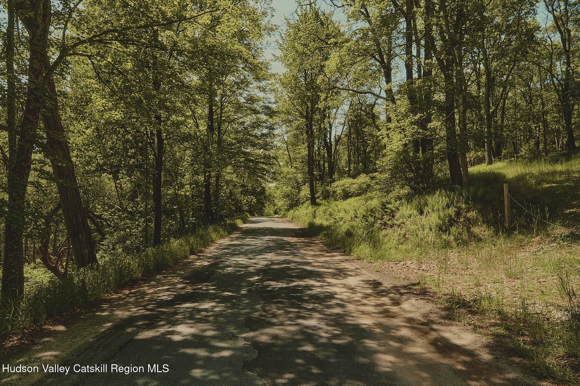 Benton Hollow Road, Liberty, Texas image 13
