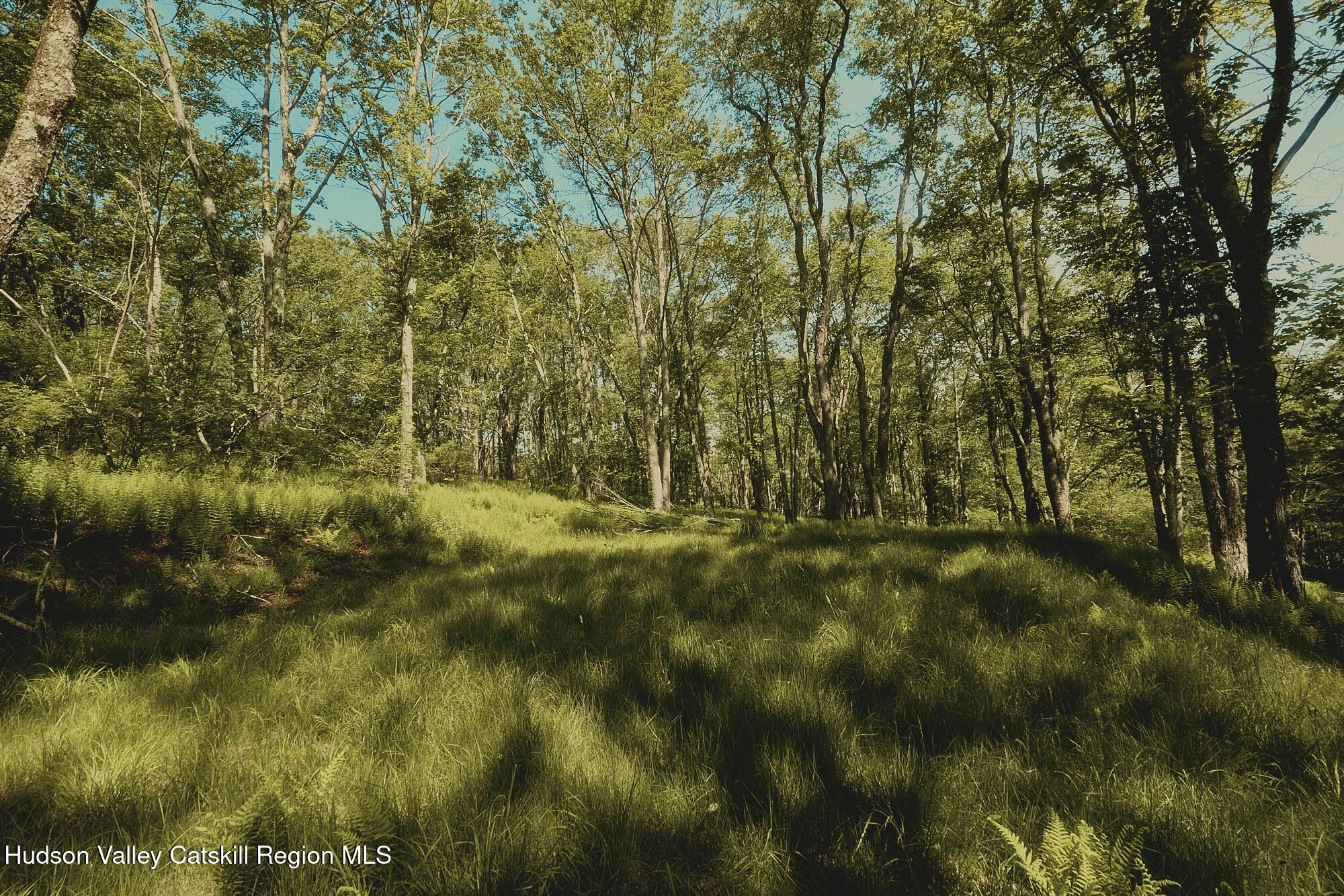 Benton Hollow Road, Liberty, Texas image 4