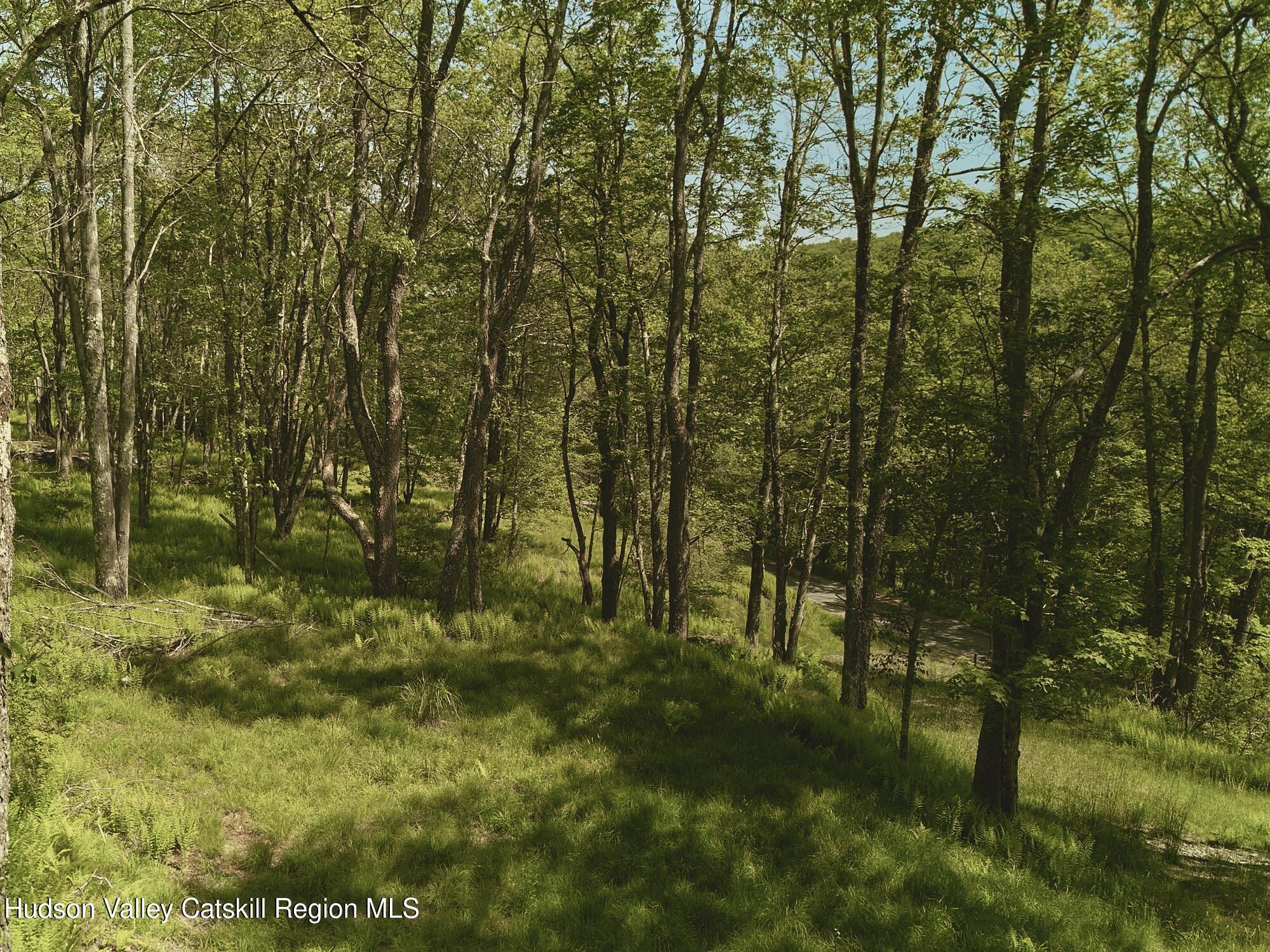 Benton Hollow Road, Liberty, Texas image 10