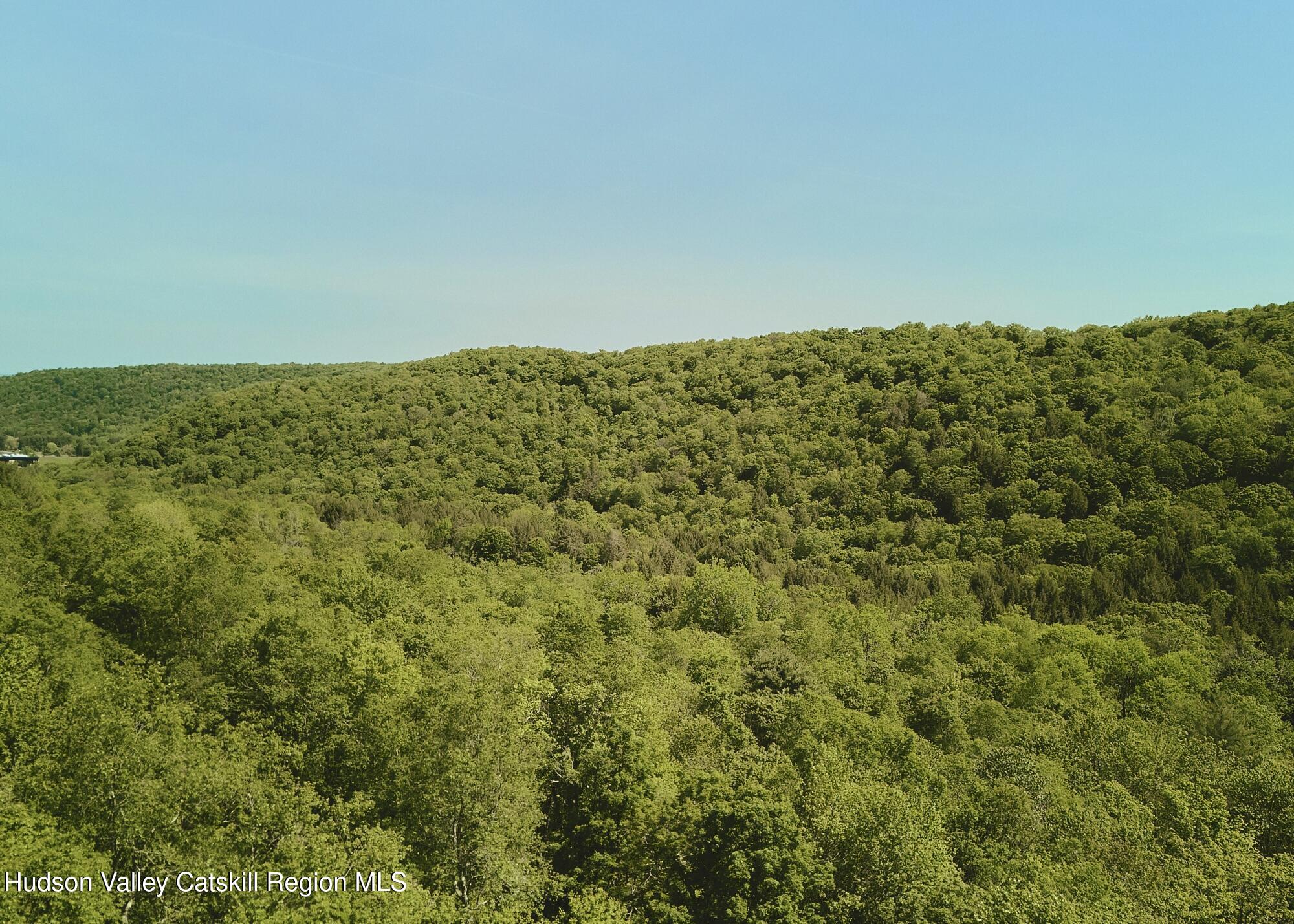 Benton Hollow Road, Liberty, Texas image 15