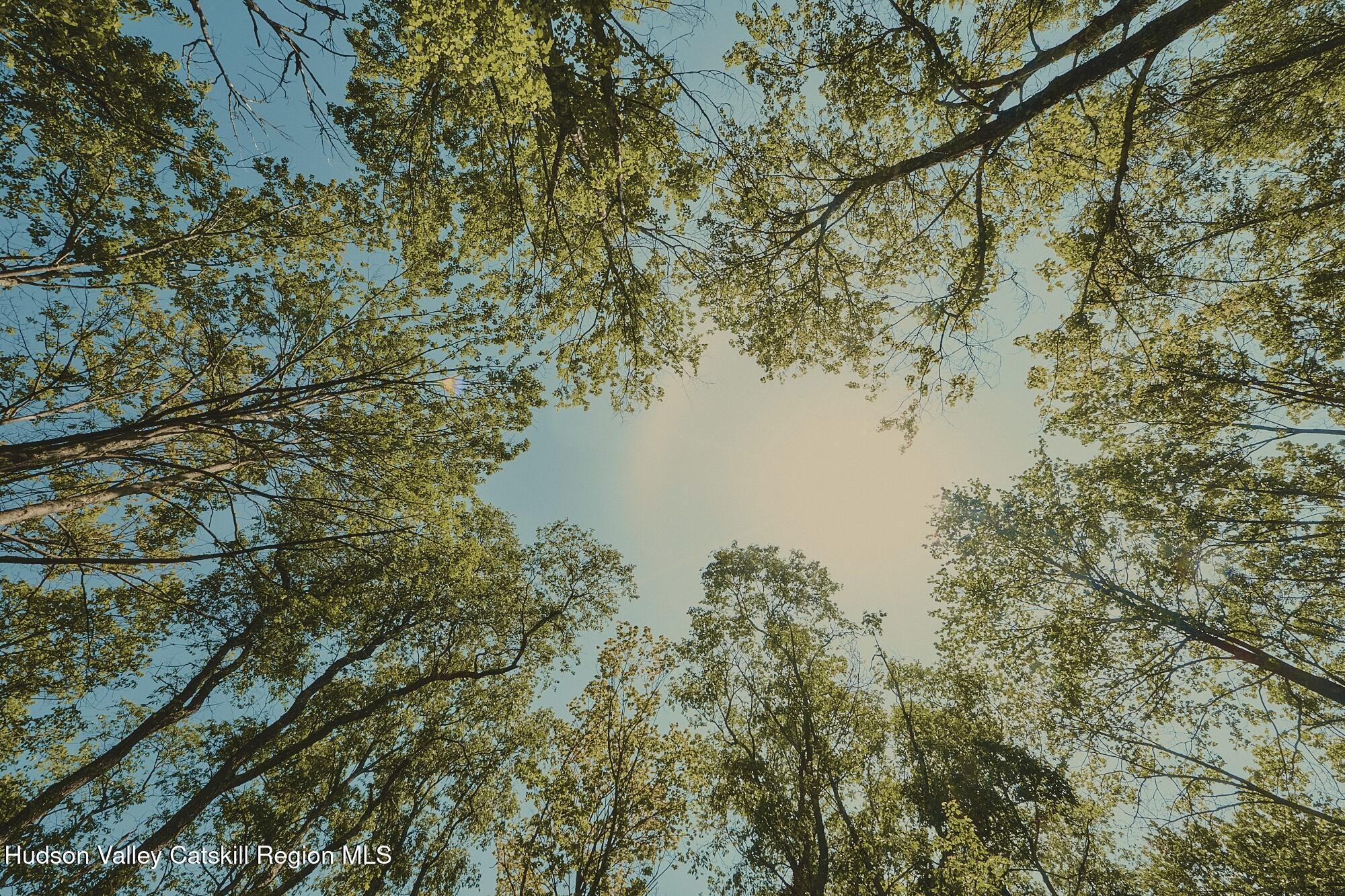 Benton Hollow Road, Liberty, Texas image 14