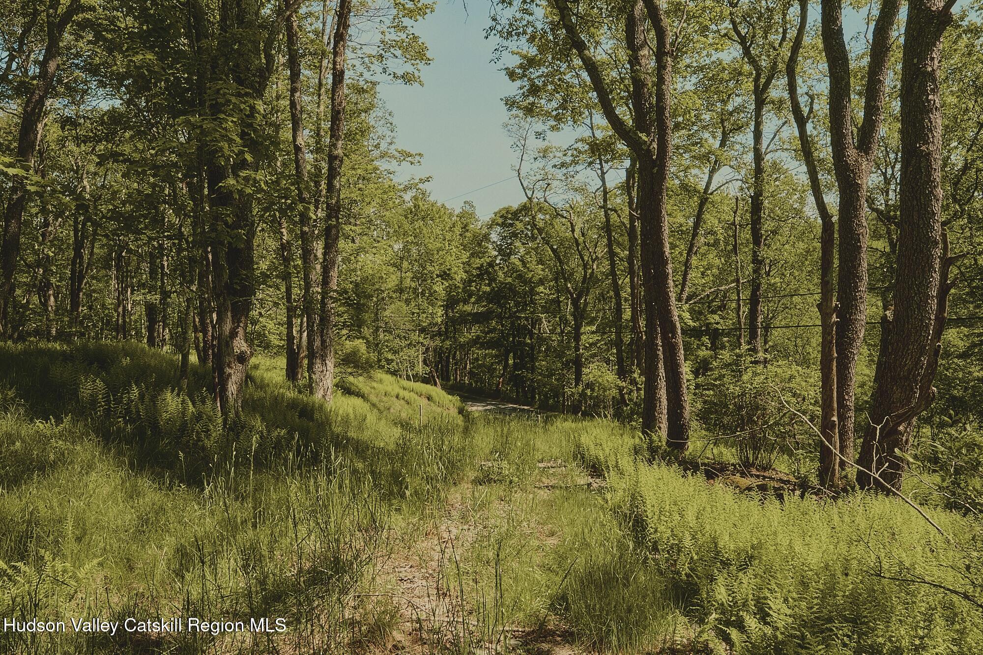 Benton Hollow Road, Liberty, Texas image 6