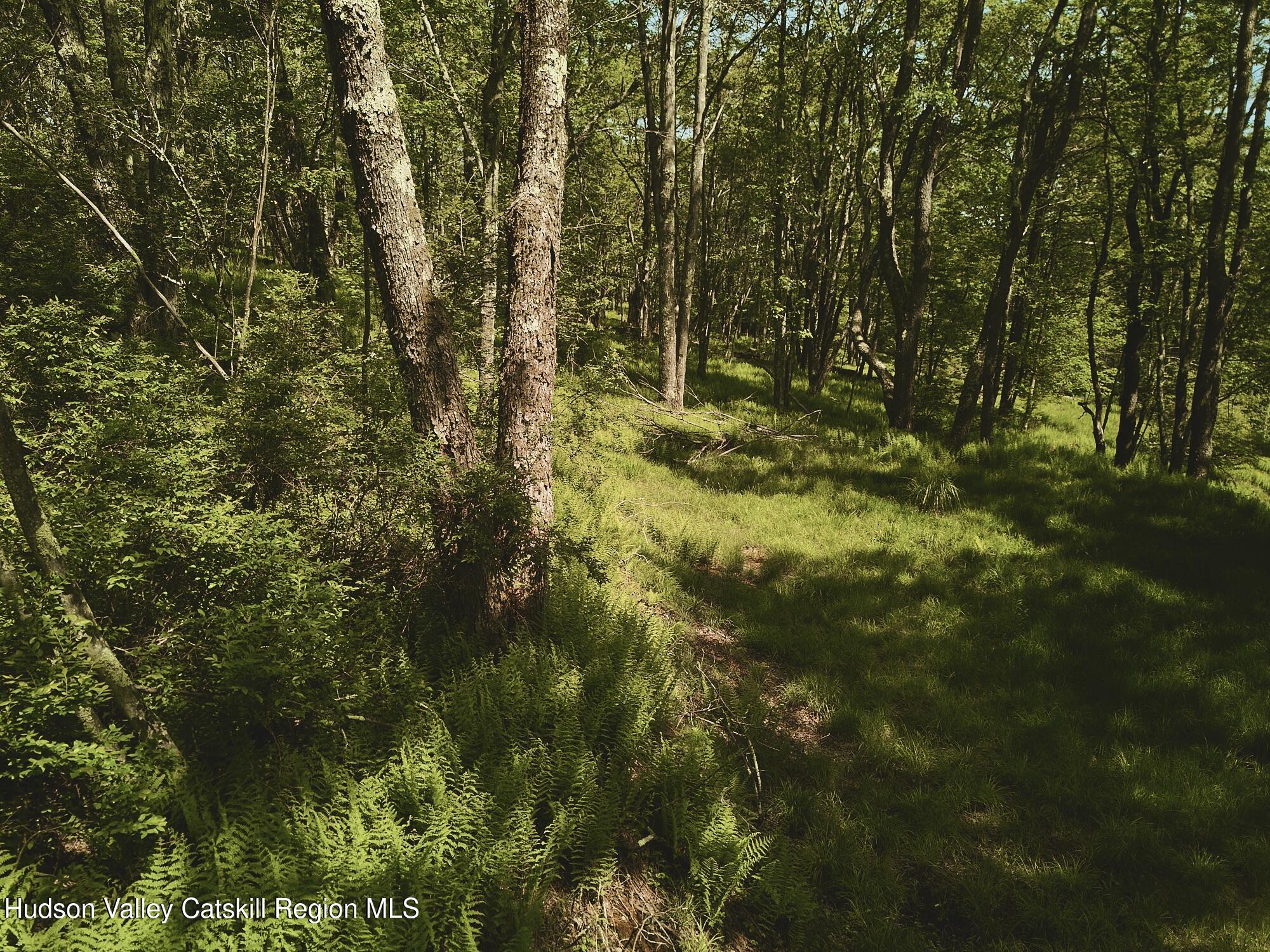 Benton Hollow Road, Liberty, Texas image 5