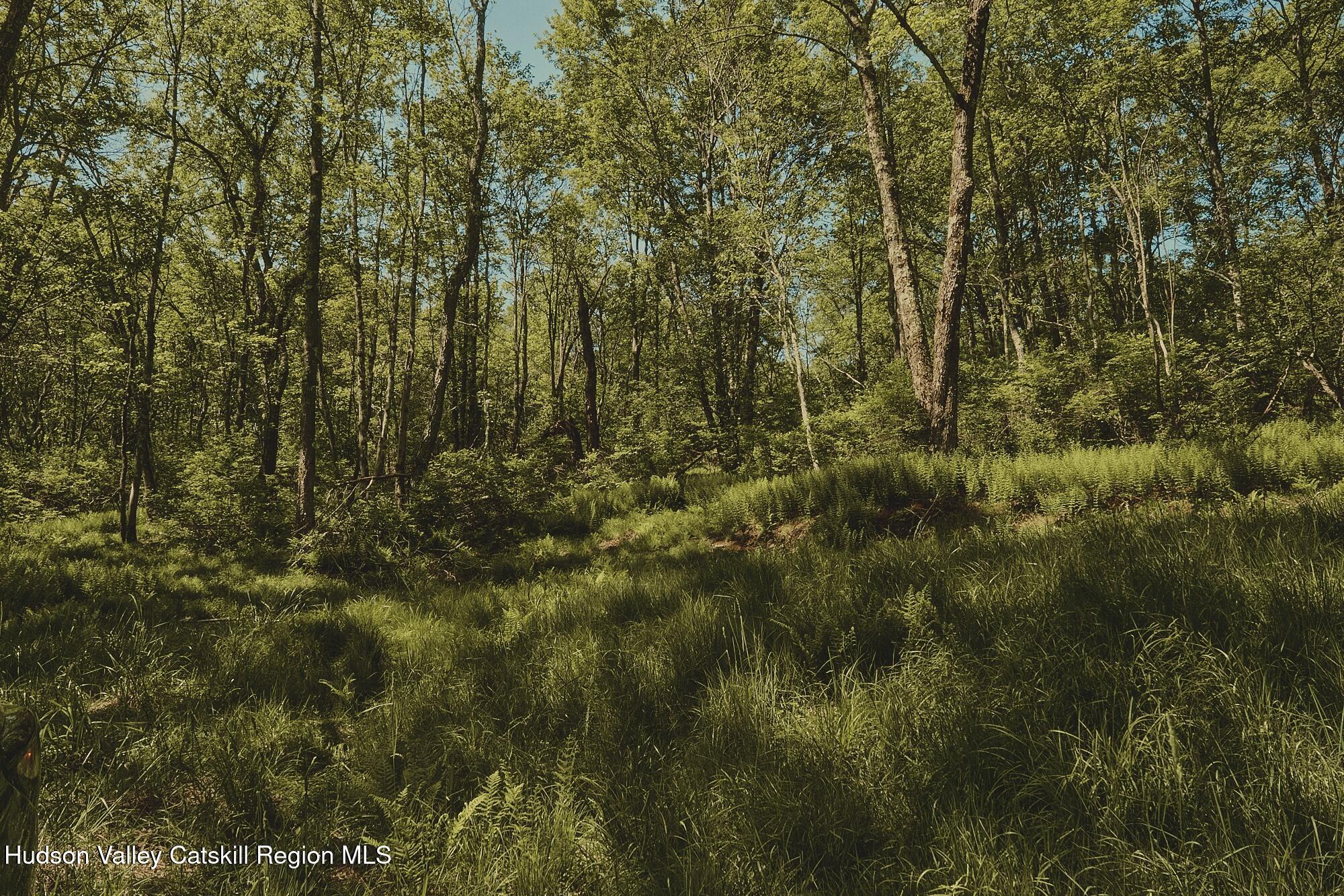 Benton Hollow Road, Liberty, Texas image 8