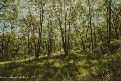 Vacant Land For Sale - Benton Hollow Road<br/> Liberty, NY 12754