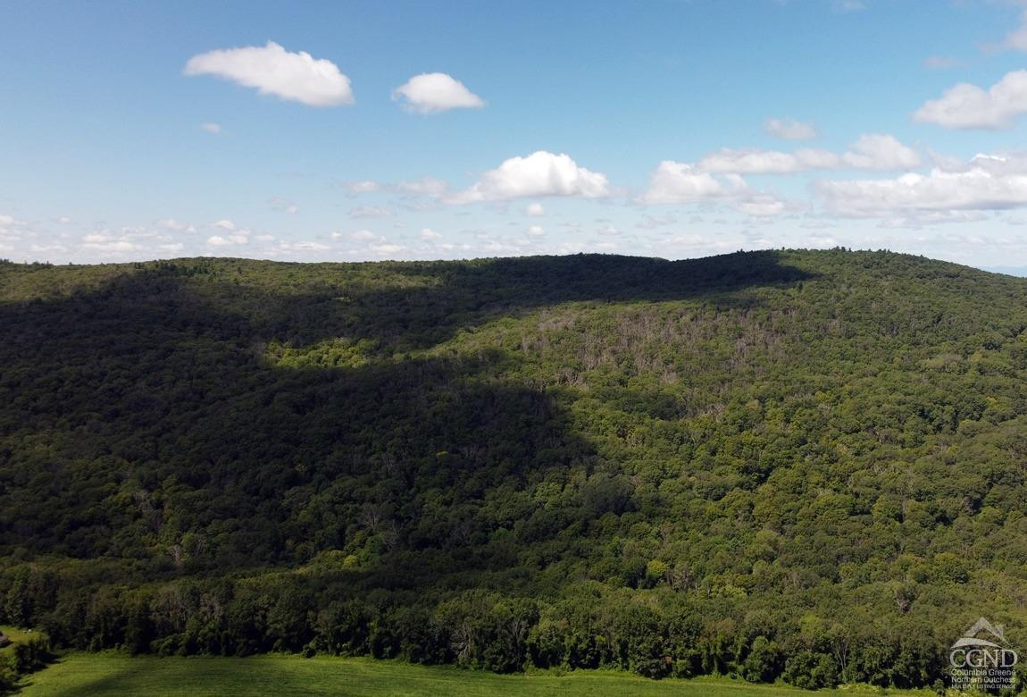 Cascade Mountain Road, Amenia, New York image 16