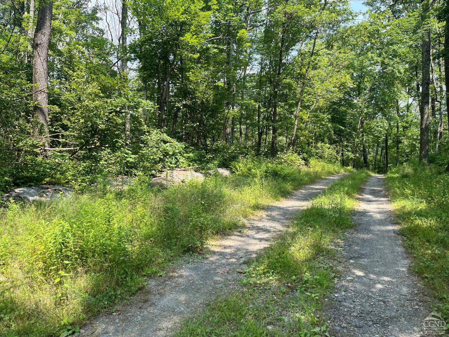 Cascade Mountain Road, Amenia, New York image 4