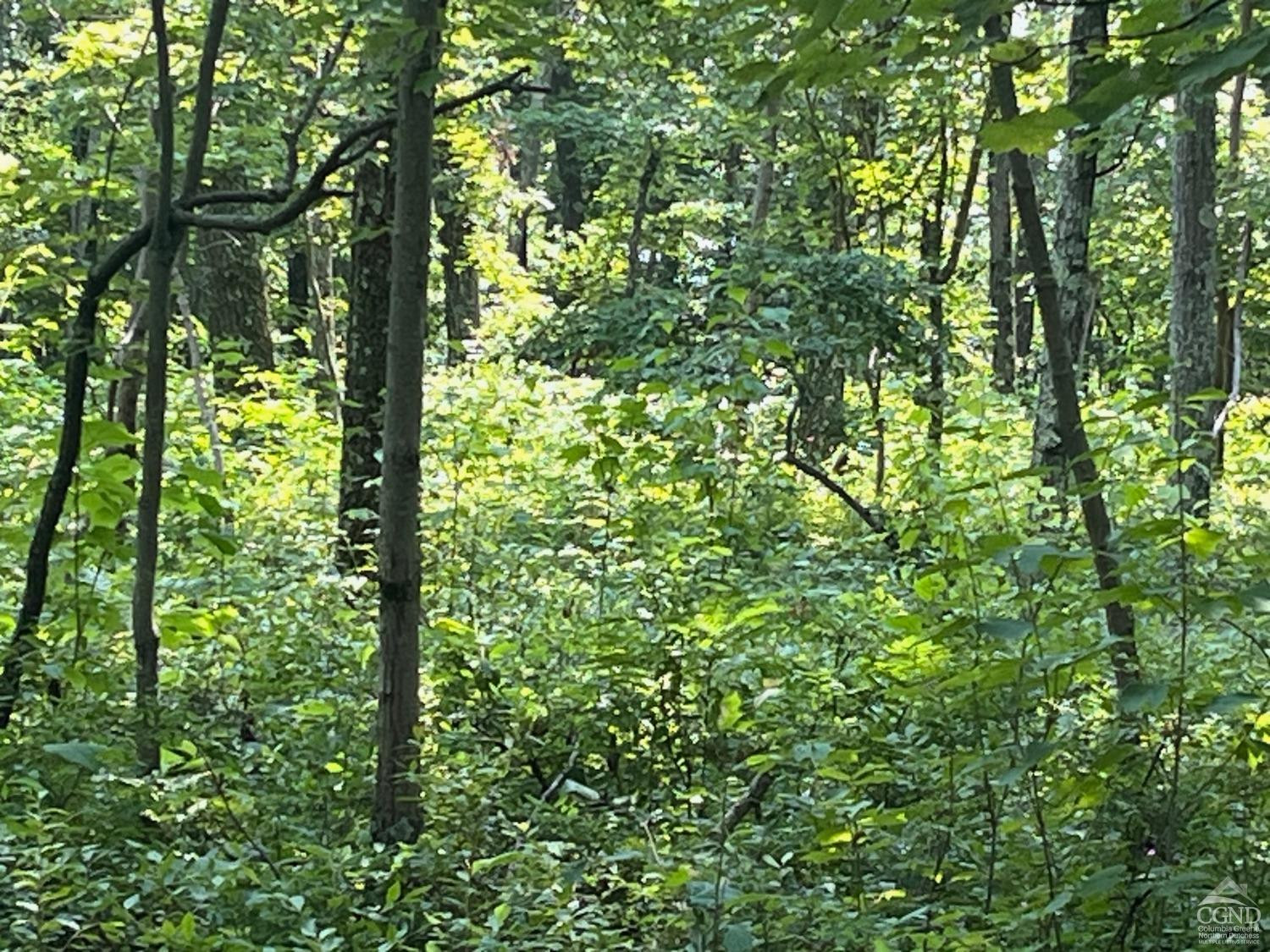 Cascade Mountain Road, Amenia, New York image 8