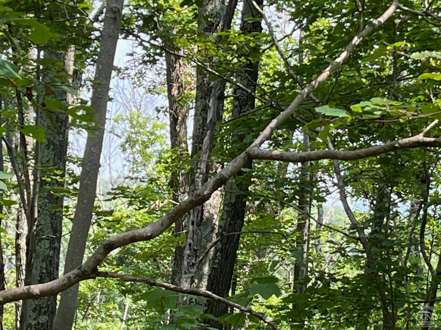 Cascade Mountain Road, Amenia, New York image 7