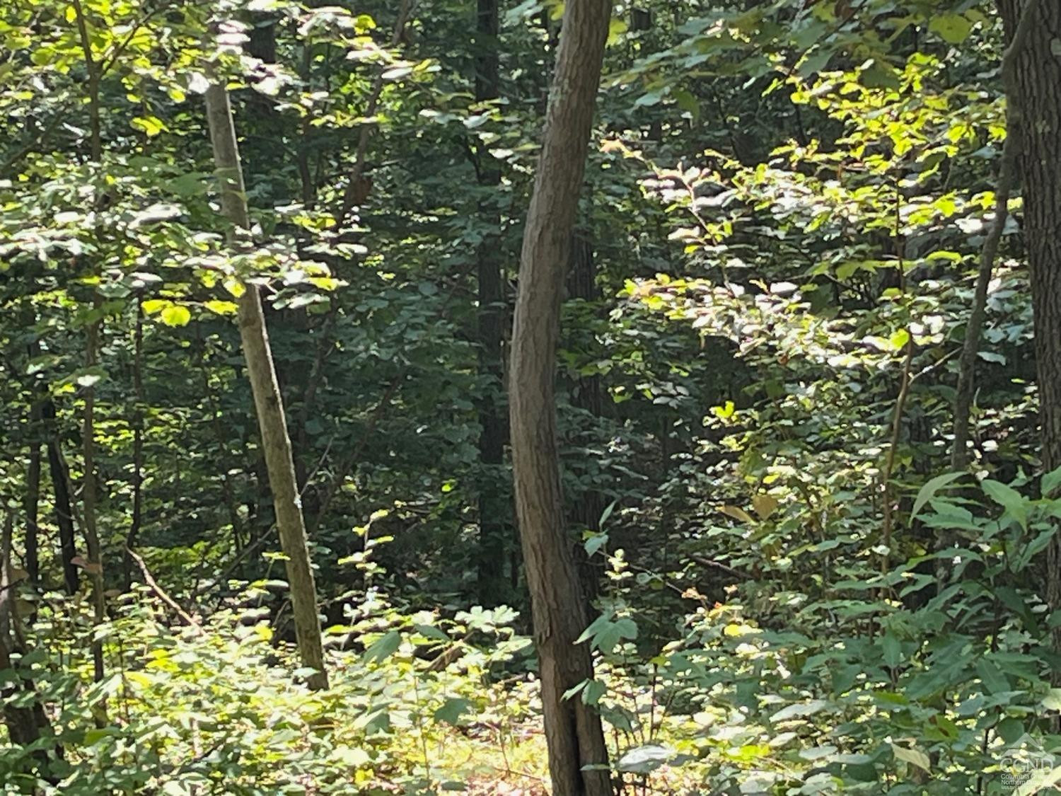 Cascade Mountain Road, Amenia, New York image 12