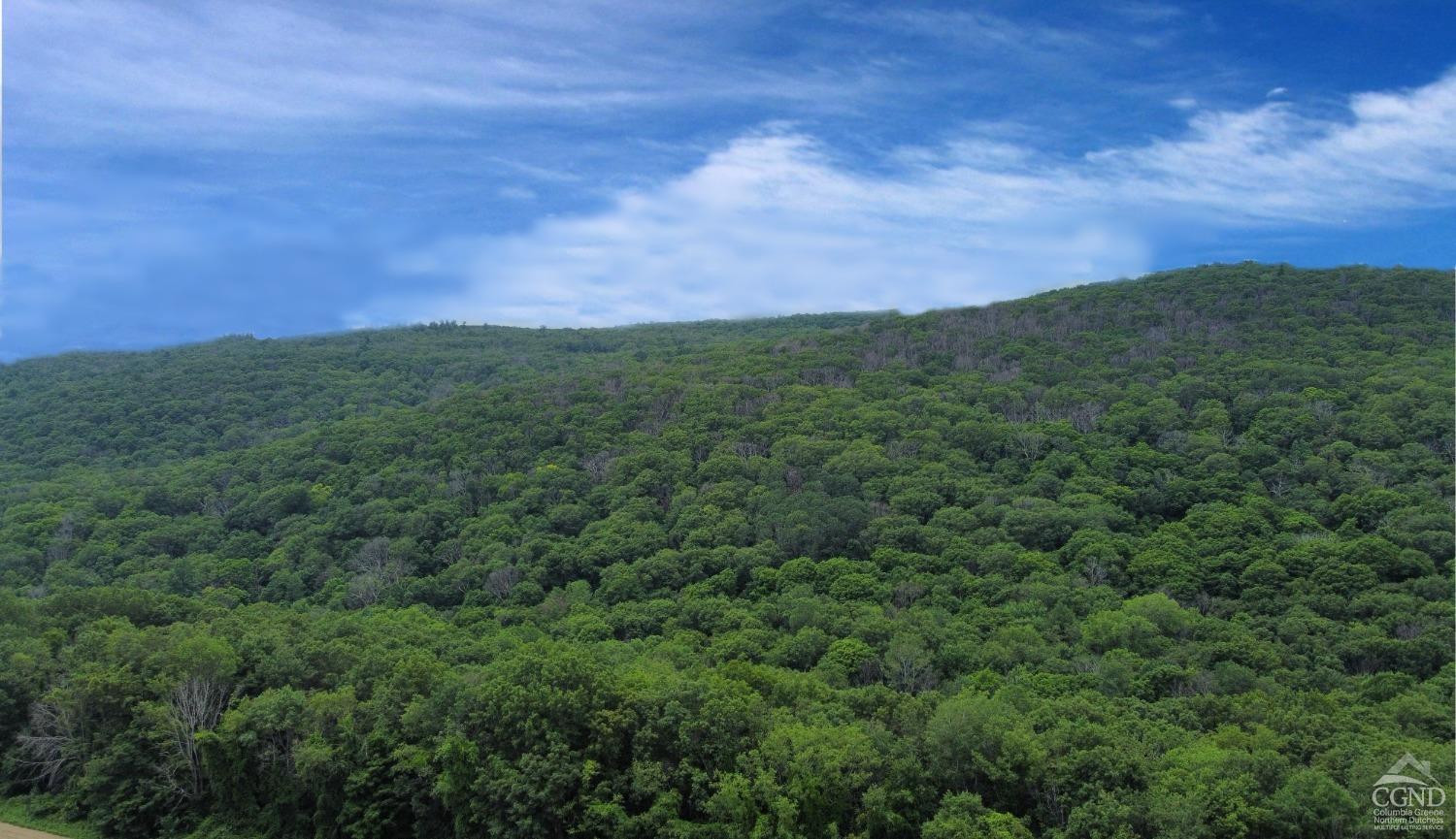 Cascade Mountain Road, Amenia, New York image 3