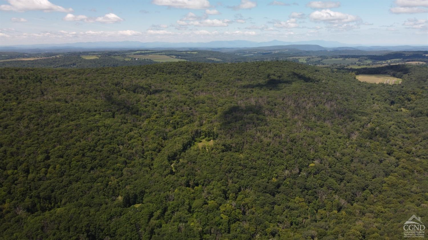 Cascade Mountain Road, Amenia, New York image 18