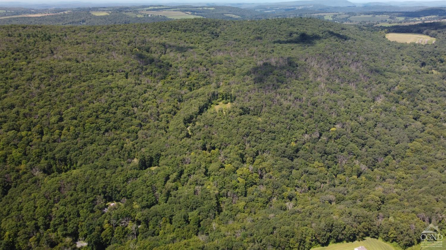 Cascade Mountain Road, Amenia, New York image 17