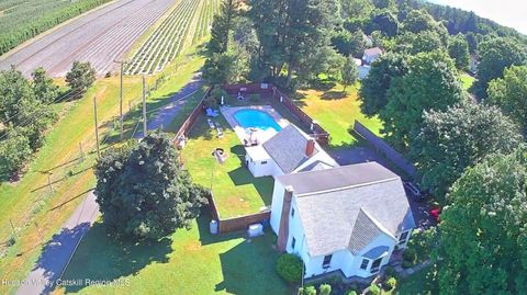 Homes For Sale - 26 Eichybush Road<br/> Kinderhook, NY 12106