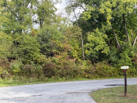 Vacant Land For Sale - 1248 Sleepy Hollow Road<br/> Athens, NY 12015