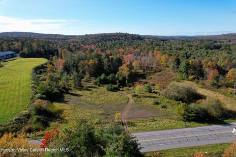 Vacant Land For Sale - LOT 3.1 State Rt 17b<br/> Monticello, NY 12701